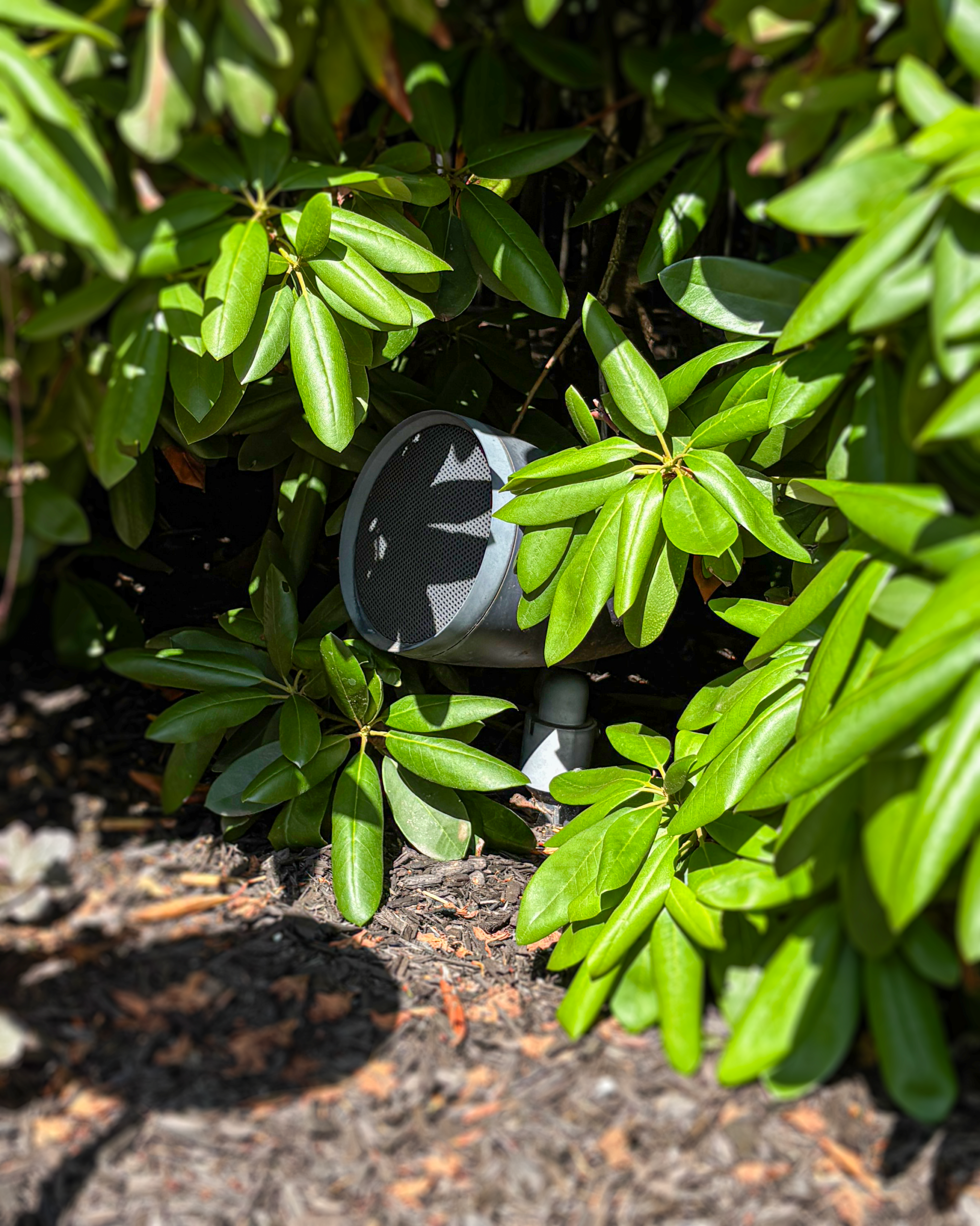 Outdoor speaker mounting